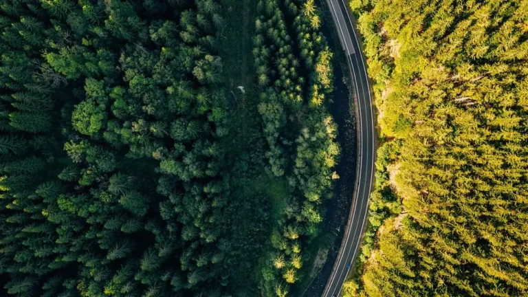 Abonament parkingowy w Warszawie - zasady i urząd