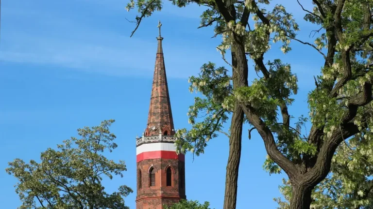 Niezbędnik nowego mieszkańca Warszawy - urzędy i dojazdy
